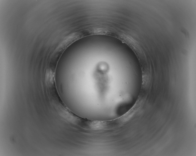 X0000114120142200910051518