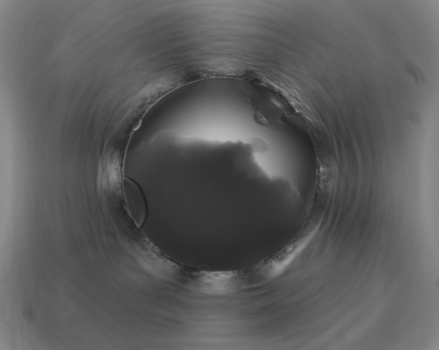 X0000114120143200910051518