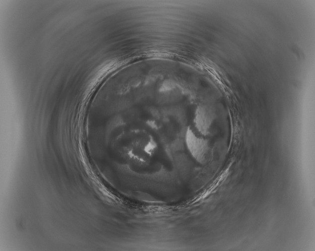 X0000114120145200910051518