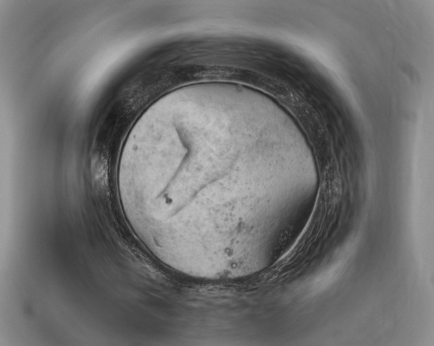 X0000114120146200910051518