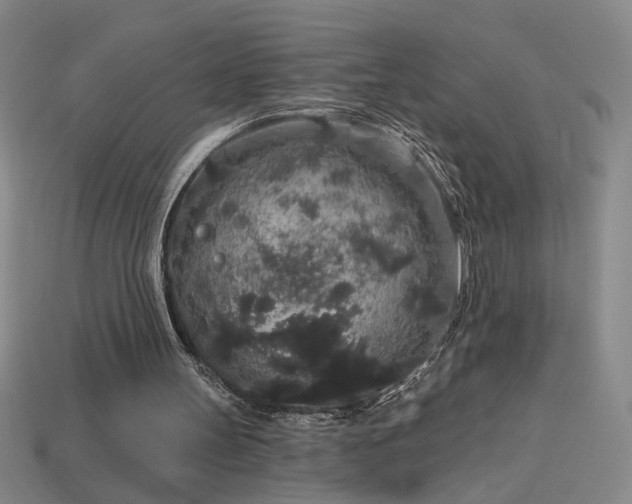 X0000114120147200910051518