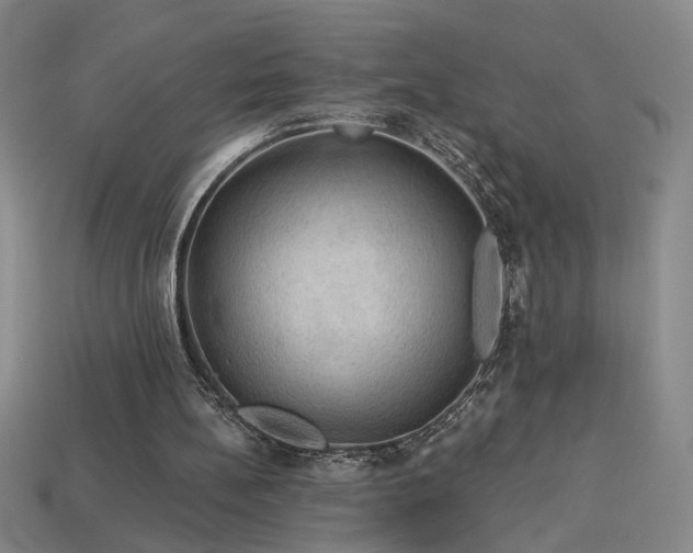 X0000114120148200910051518