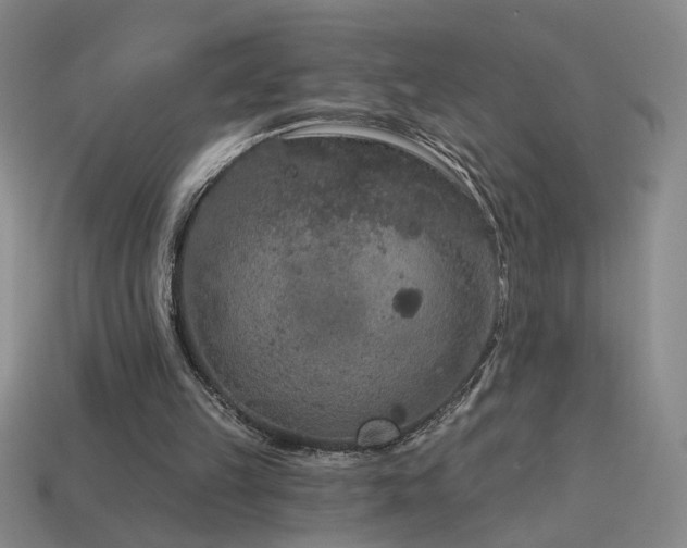 X0000114120149200910051518