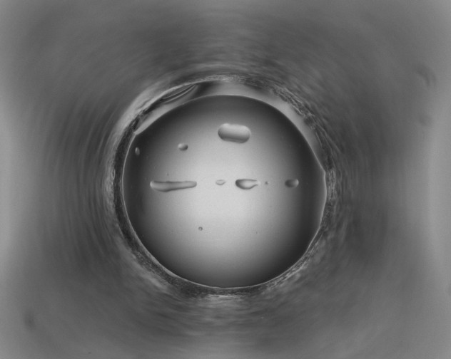 X0000114120150200910051518