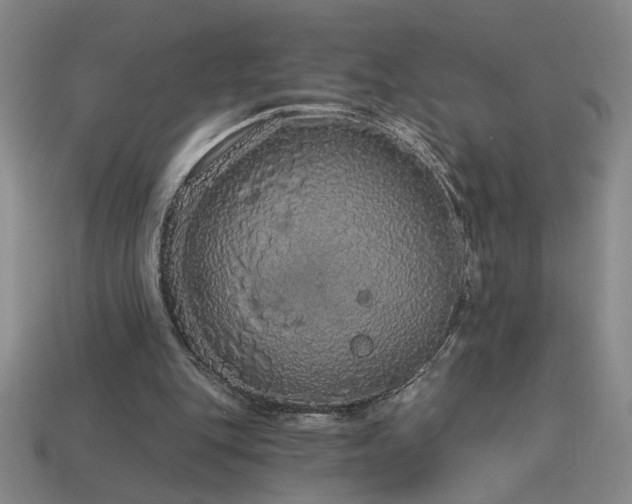 X0000114120151200910051518