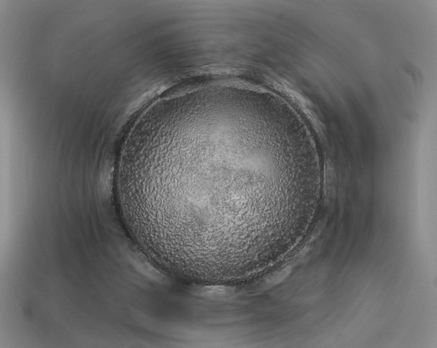 X0000114120153200910051518