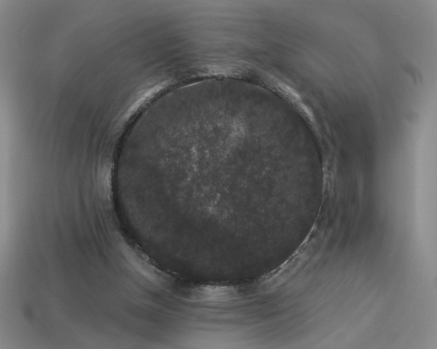 X0000114120154200910051518