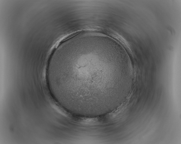 X0000114120155200910051518