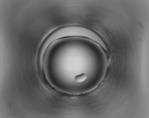 X0000114120156200910051518