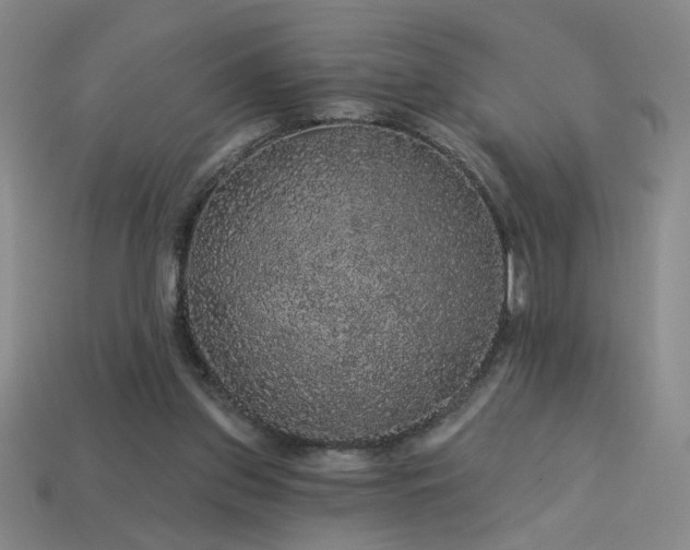 X0000114120157200910051518