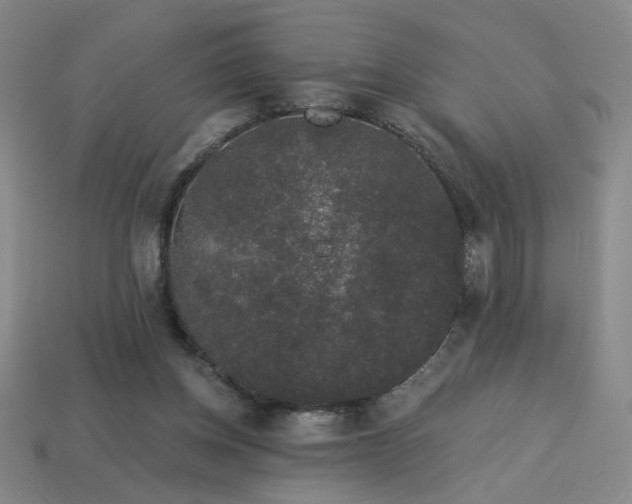 X0000114120158200910051518