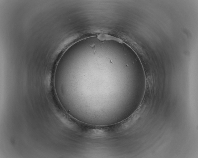 X0000114120159200910051518