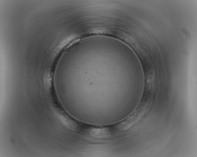 X0000114120160200910051518