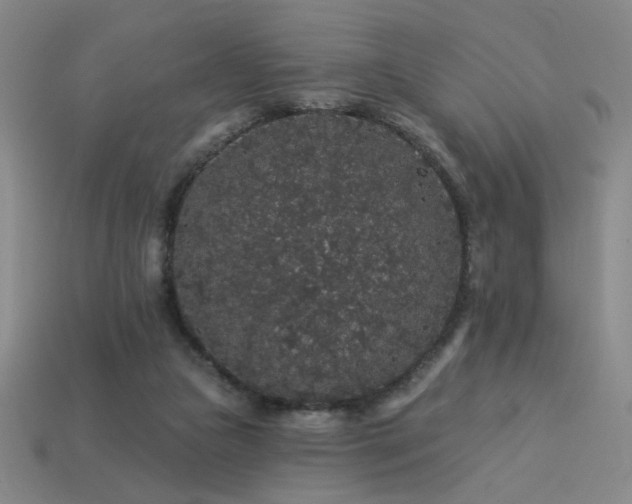 X0000114120161200910051518