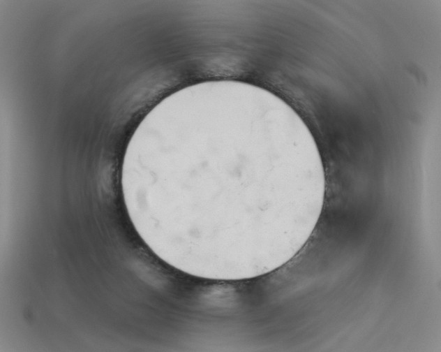 X0000114120162200910051518