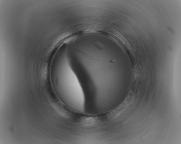 X0000114120163200910051518