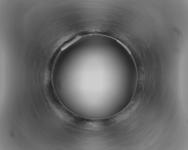 X0000114120164200910051518