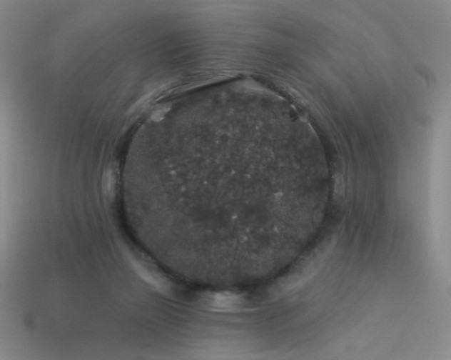 X0000114120165200910051518