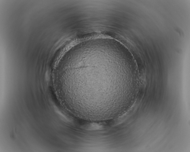 X0000114120166200910051518