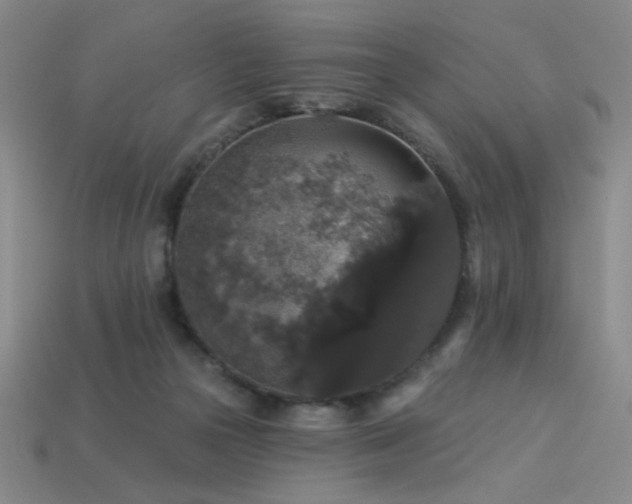 X0000114120169200910051518