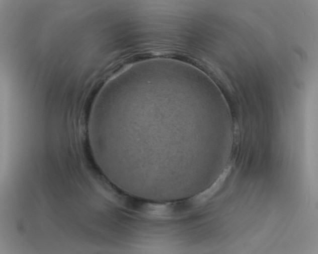 X0000114120170200910051518