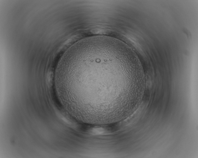 X0000114120171200910051518