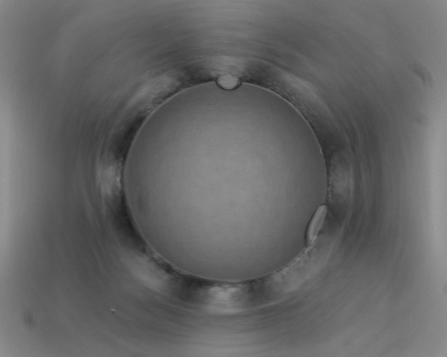 X0000114120172200910051518