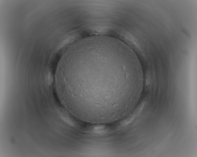 X0000114120173200910051518