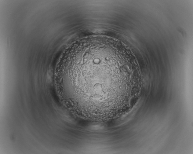 X0000114120175200910051518