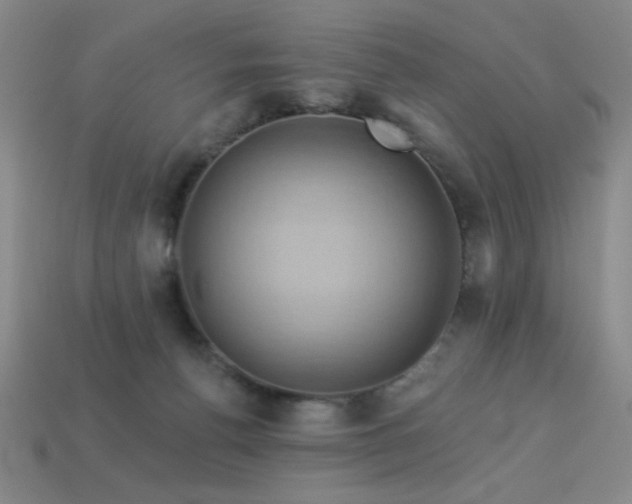 X0000114120176200910051518