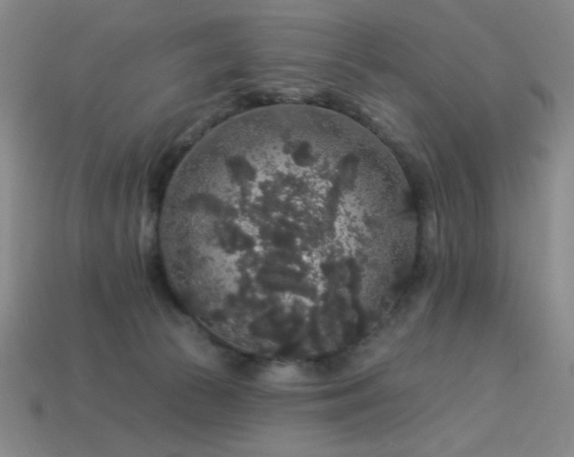 X0000114120177200910051518