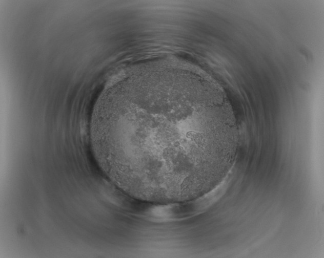 X0000114120178200910051518