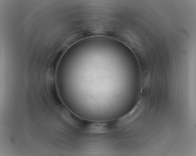 X0000114120179200910051518