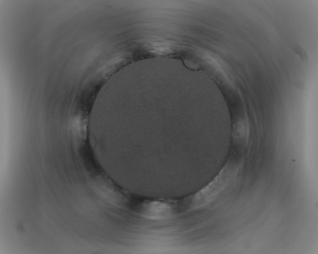 X0000114120180200910051518