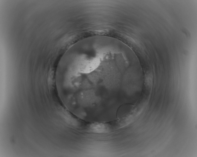 X0000114120181200910051518