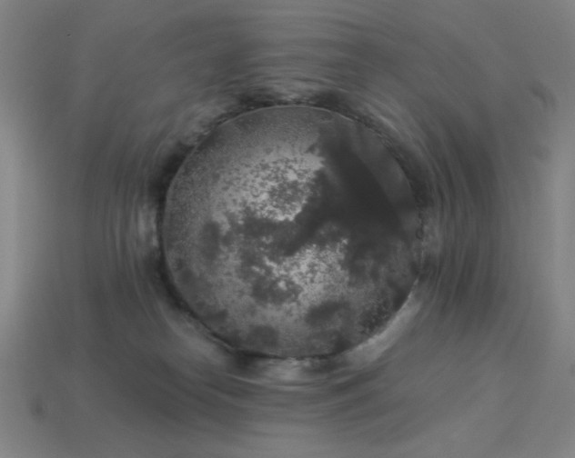 X0000114120182200910051518