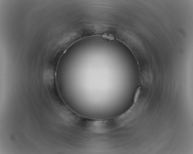 X0000114120184200910051518