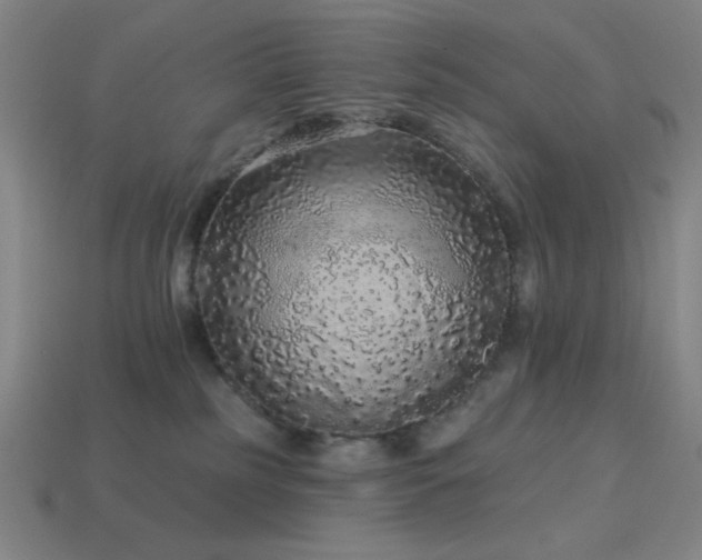 X0000114120185200910051518