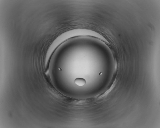 X0000114120186200910051518