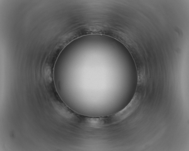 X0000114120187200910051518