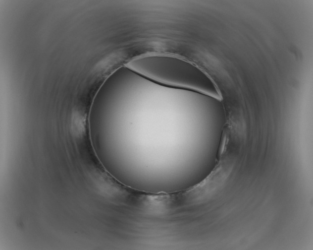 X0000114120188200910051518