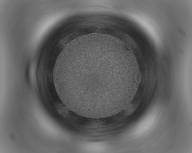 X0000114120189200910051518