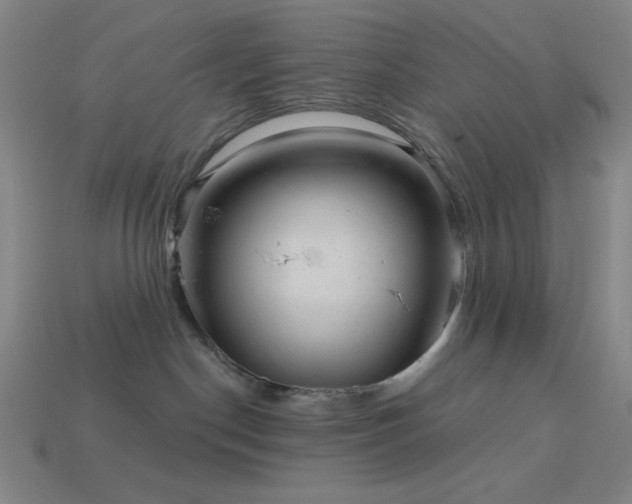 X0000114120190200910051518