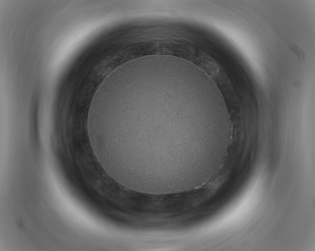 X0000114120191200910051518