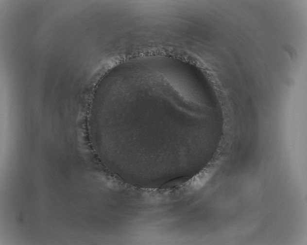 X0000114120192200910051518