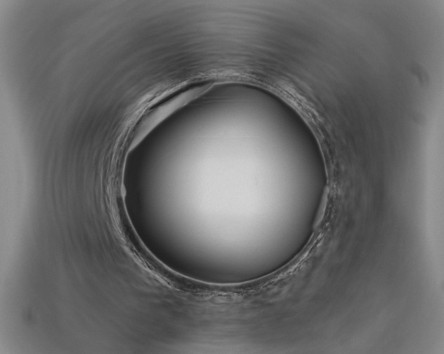 X0000114120193200910051518