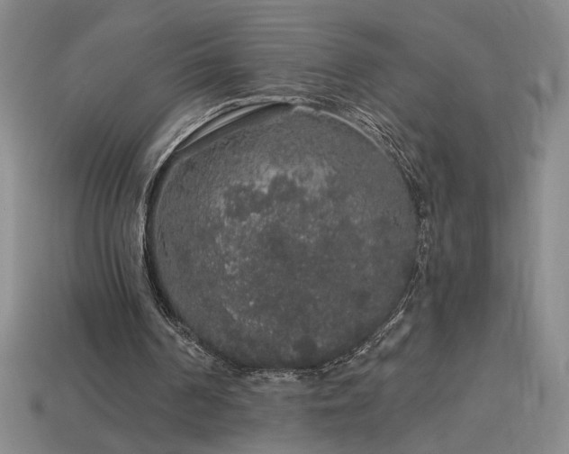 X0000114120194200910051518