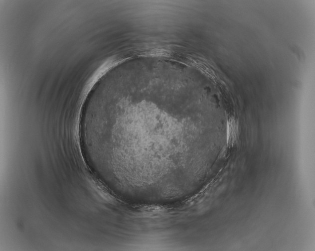 X0000114120195200910051517