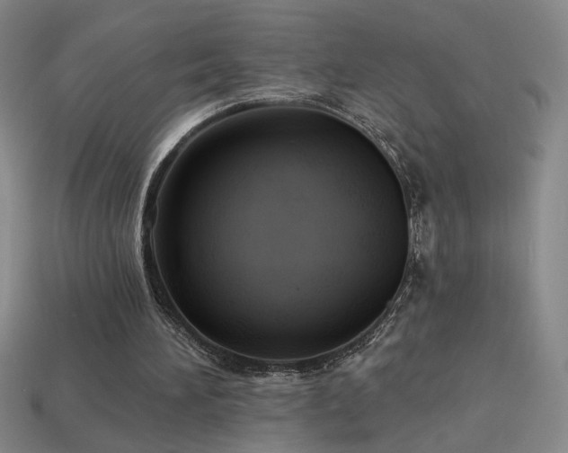 X0000114120196200910051517