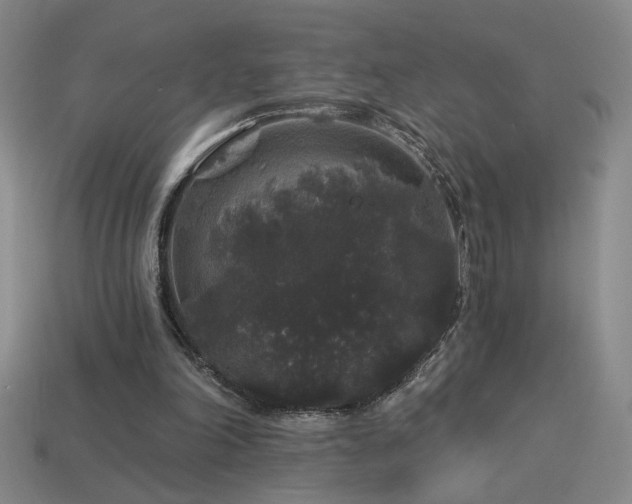 X0000114120198200910051517